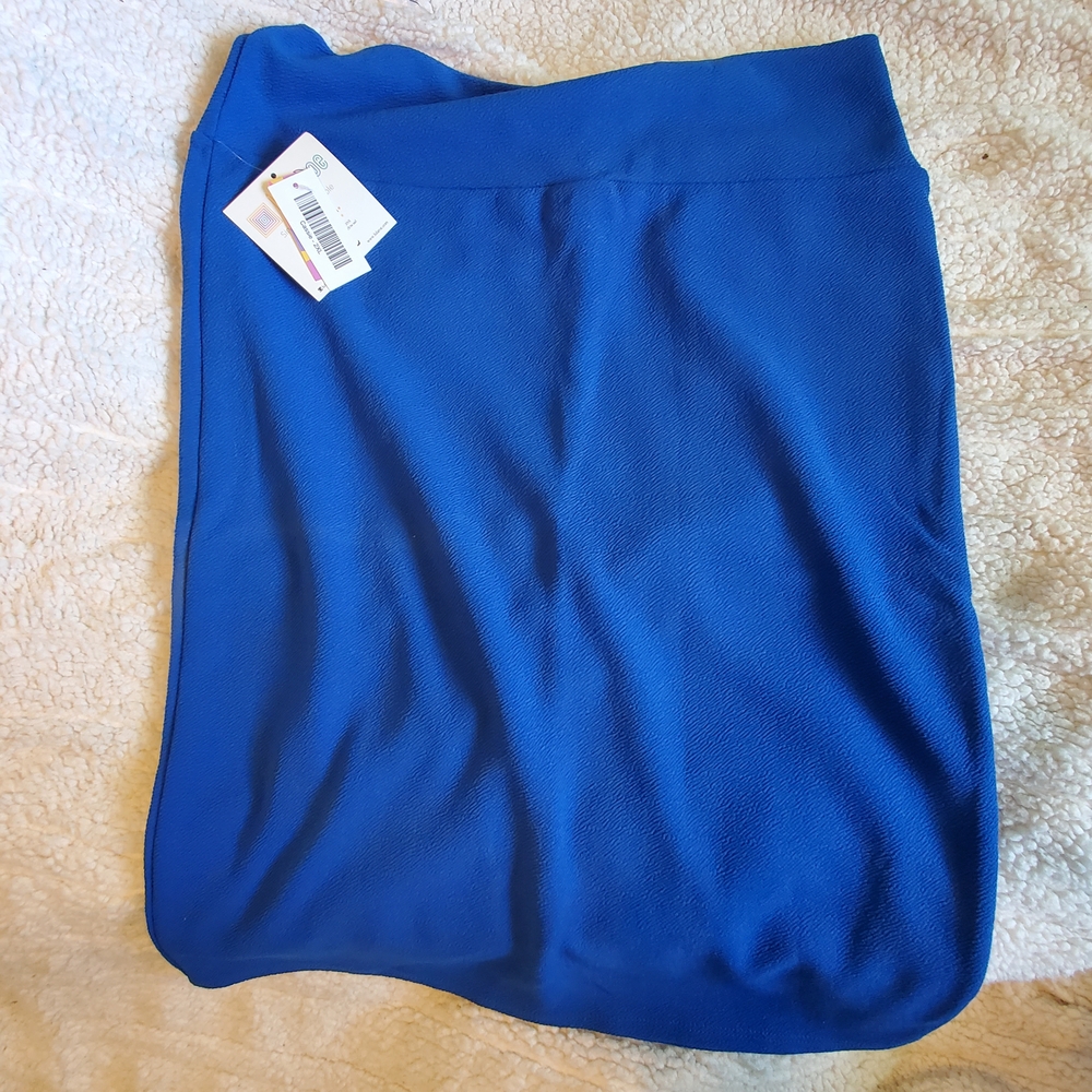 Elegant Blue Women's Skirt